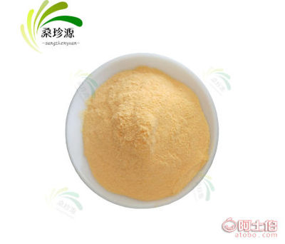 【工厂直销柳橙果粉 速溶柳橙粉 柳橙汁粉 食品饮料原料 柳橙粉】深圳市宝安区西乡桑珍源食品商行 - 产品库