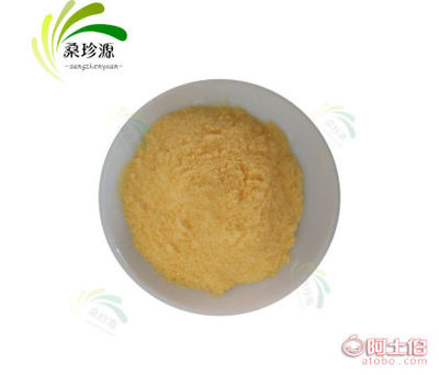 深圳桑珍源食品 工厂直供，柠檬粉系列产品的一站式采购专家